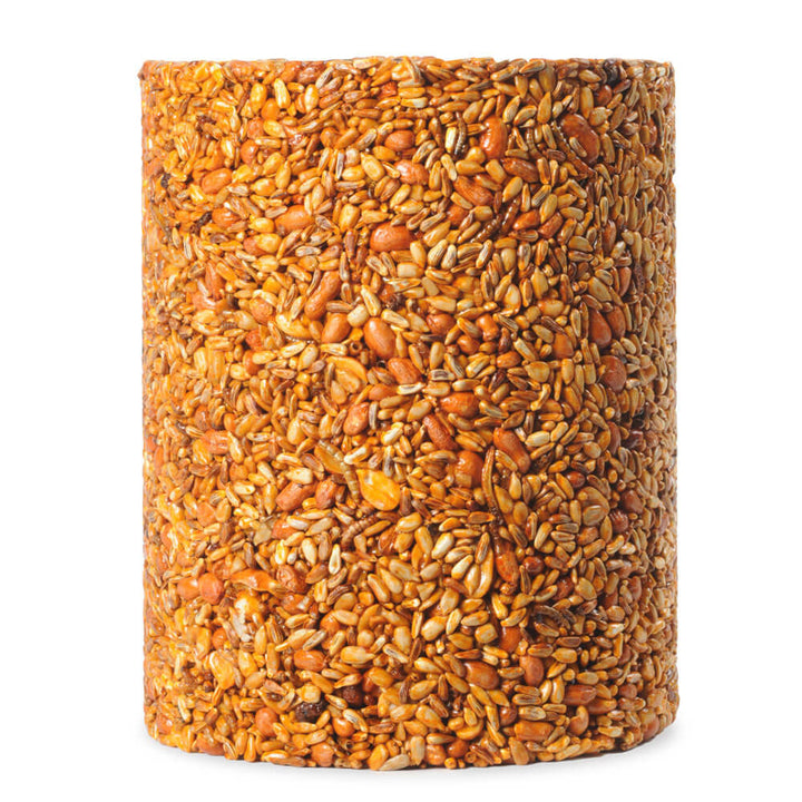 Mr. Bird Flaming Hot Feast Seed Cylinder – Large - Birds Choice