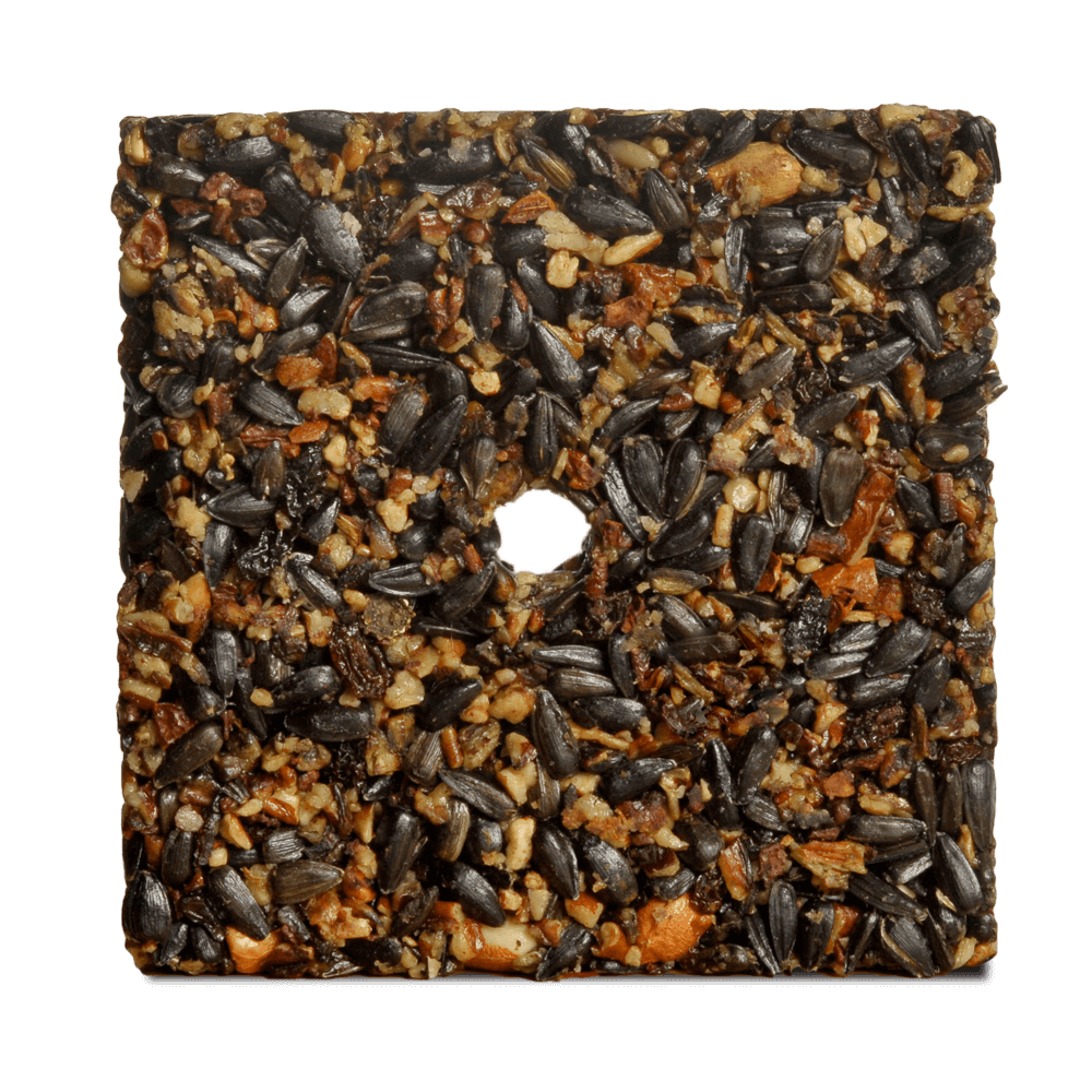 Mr. Bird Woodpecker Feast Cake – Small - Birds Choice