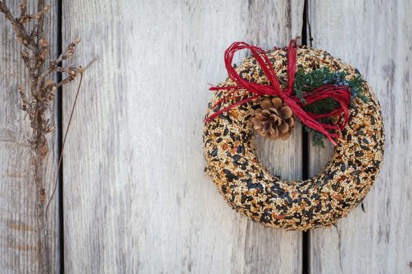 Mr. Bird WildFeast Seed Wreath - Birds Choice