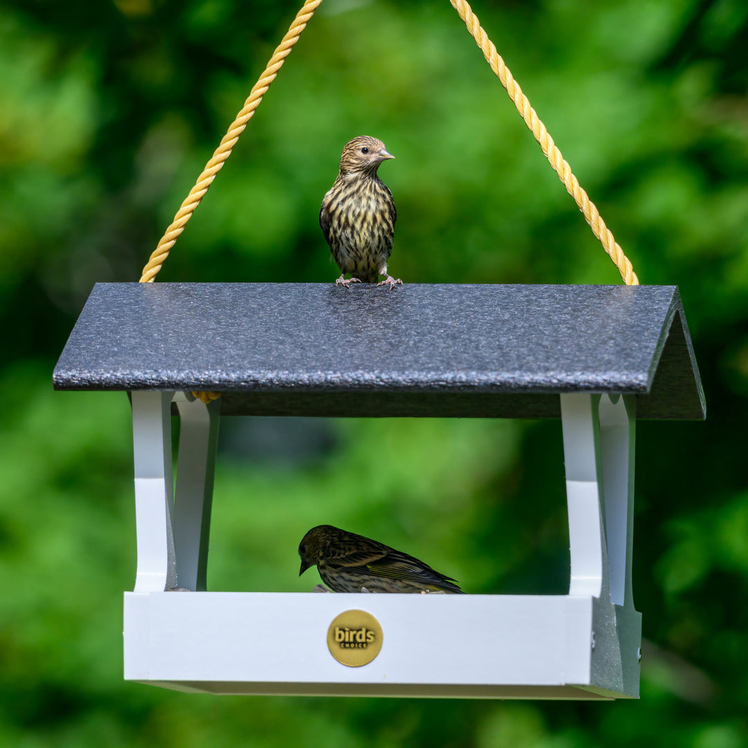 Fly through bird feeder hotsell