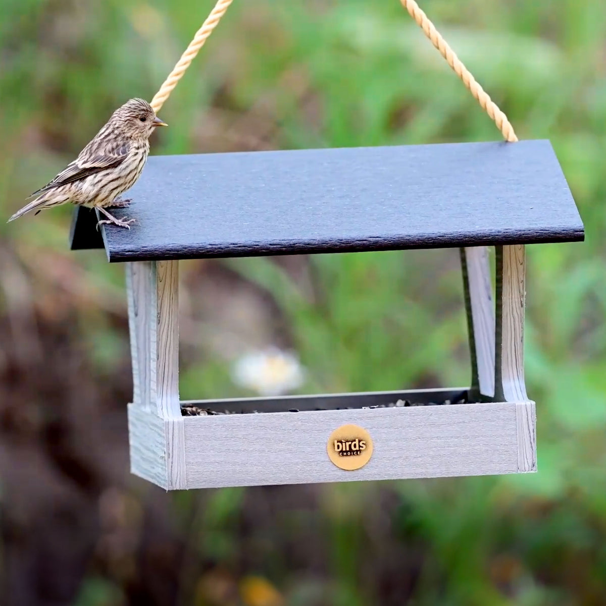 Modern Farmhouse Fly-Thru Feeder in Driftwood - Birds Choice