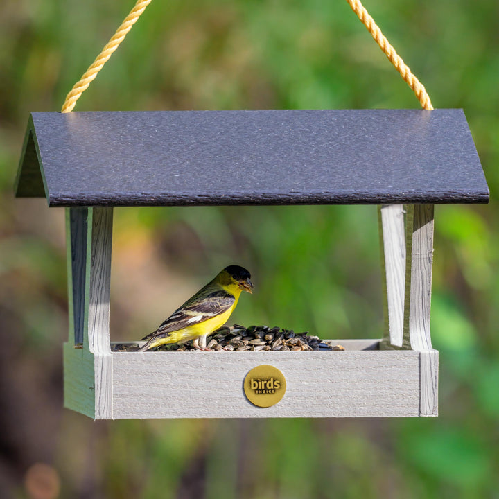 Modern Farmhouse Fly-Thru Feeder in Driftwood - Birds Choice