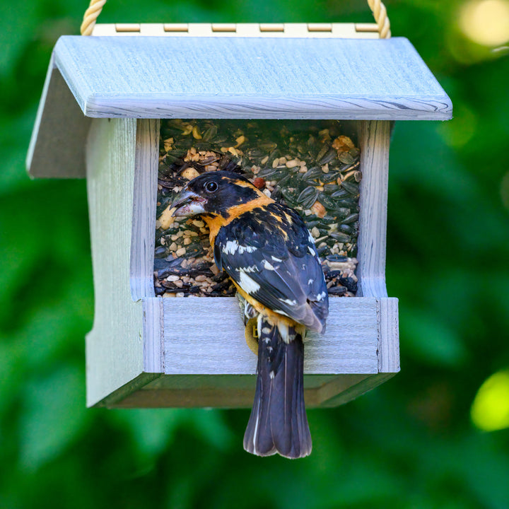 Modern Farmhouse Small Hopper Feeder in Driftwood - Birds Choice
