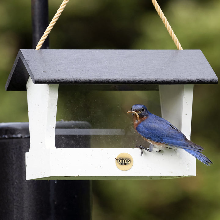 Modern Farmhouse Medium Hopper Bird Feeder in Black and White - Birds Choice