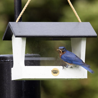 Modern Farmhouse Medium Hopper Bird Feeder in Black and White