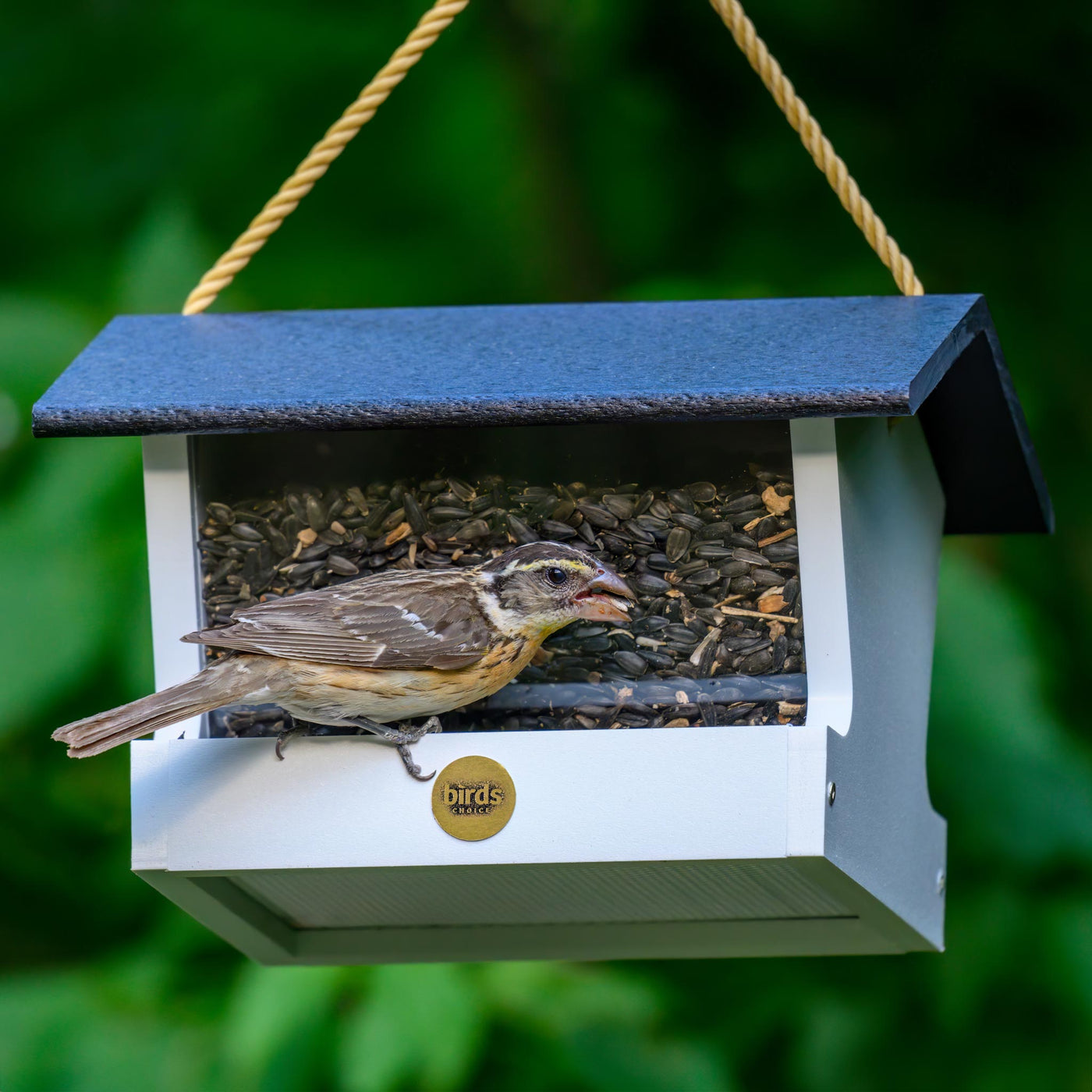 Modern Farmhouse Medium Hopper Bird Feeder in Black and White