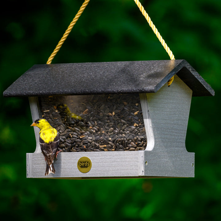 Modern Farmhouse Medium Hopper Feeder in Driftwood - Birds Choice