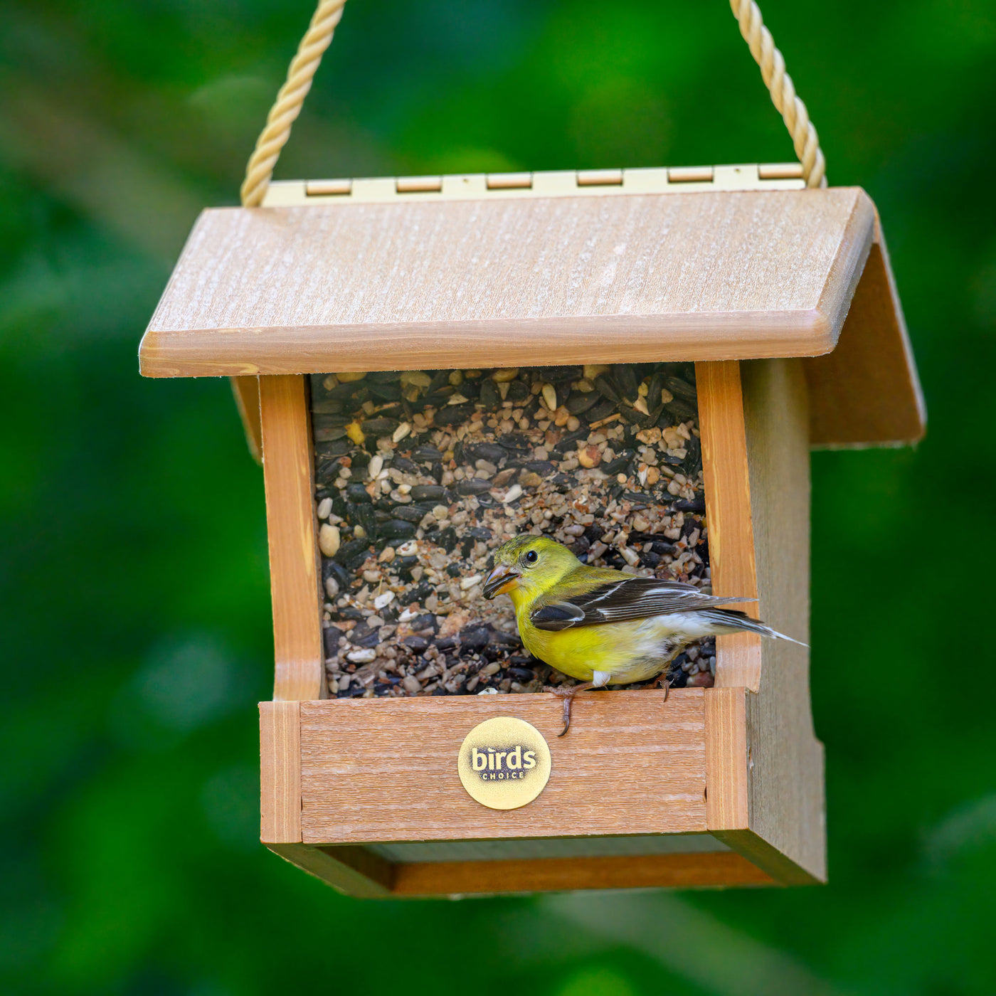 Modern Farmhouse Small Hopper Feeder in Natural Teak