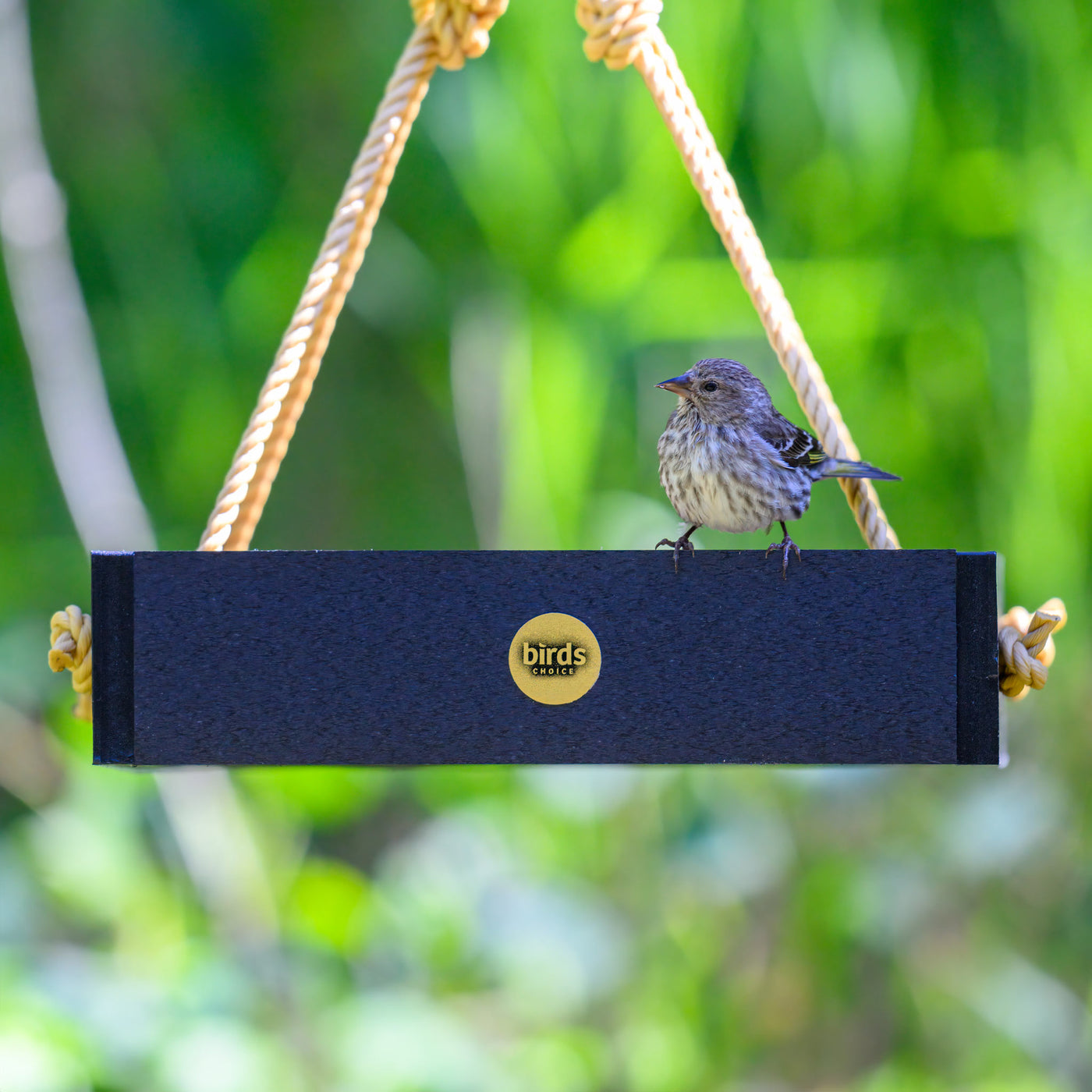 Modern Farmhouse Small Hanging Platform Bird Feeder in Black