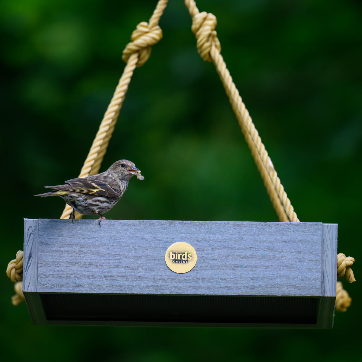 Modern Farmhouse Small Hanging Platform Bird Feeder in Driftwood - Birds Choice