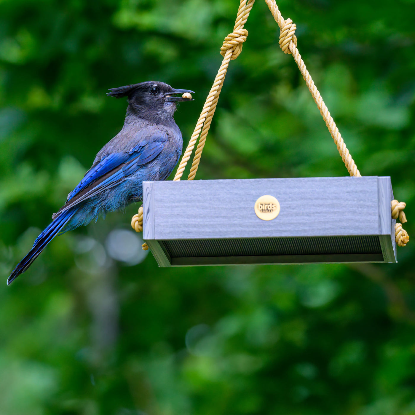 Modern Farmhouse Small Hanging Platform Bird Feeder in Driftwood