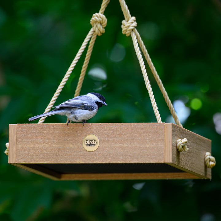 Modern Farmhouse Small Hanging Platform Feeder in Natural Teak - Birds Choice