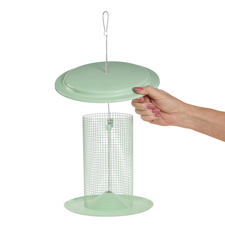 Modern Farmhouse Sunflower Seed Bird Feeder in Sage Green - Birds Choice