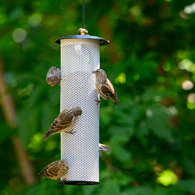 Modern Farmhouse Finch Feeder in Black and White