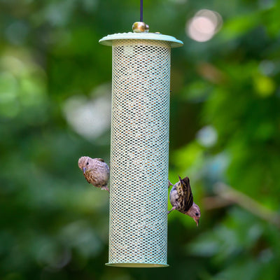 Modern Farmhouse Finch Feeder in Sage Green