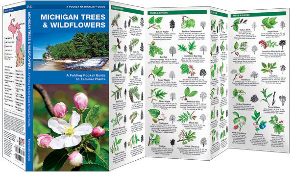 Michigan Trees &amp; Wildflowers Pocket Guide - Birds Choice