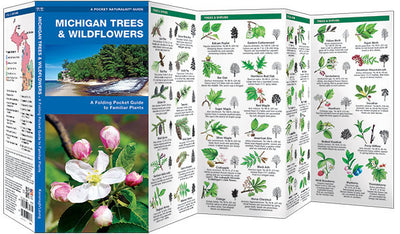 Michigan Trees & Wildflowers Pocket Guide