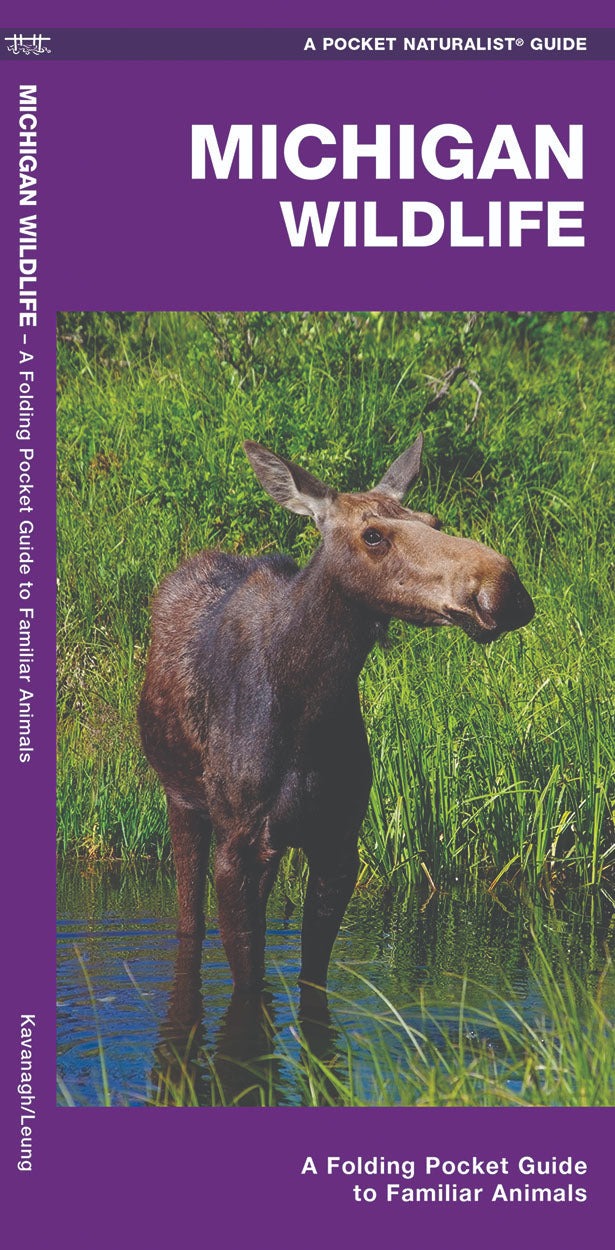 Michigan Wildlife Pocket Guide – Birds Choice