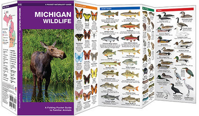 Michigan Wildlife Pocket Guide