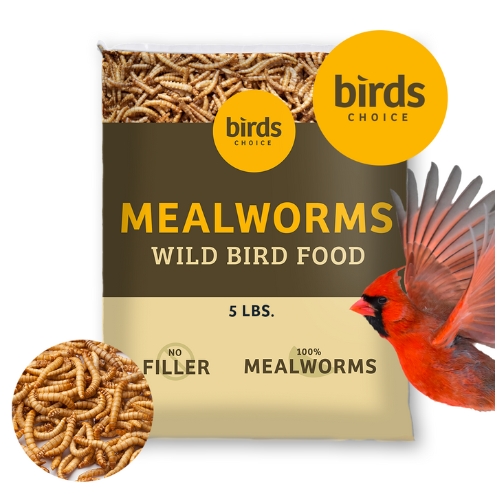 Mealworms - 5 lbs. - Birds Choice