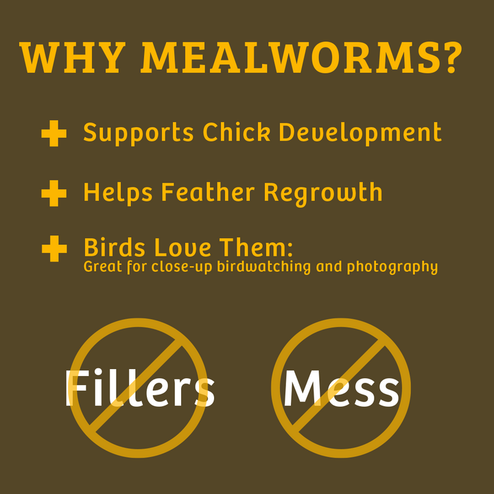 Mealworms - 5 lbs. - Birds Choice