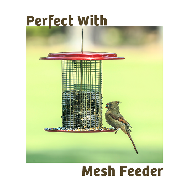 Mealworms - 5 lbs. - Birds Choice