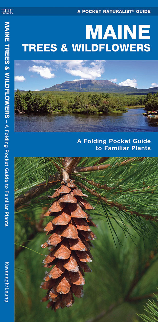 Maine Trees & Wildflowers Pocket Guide