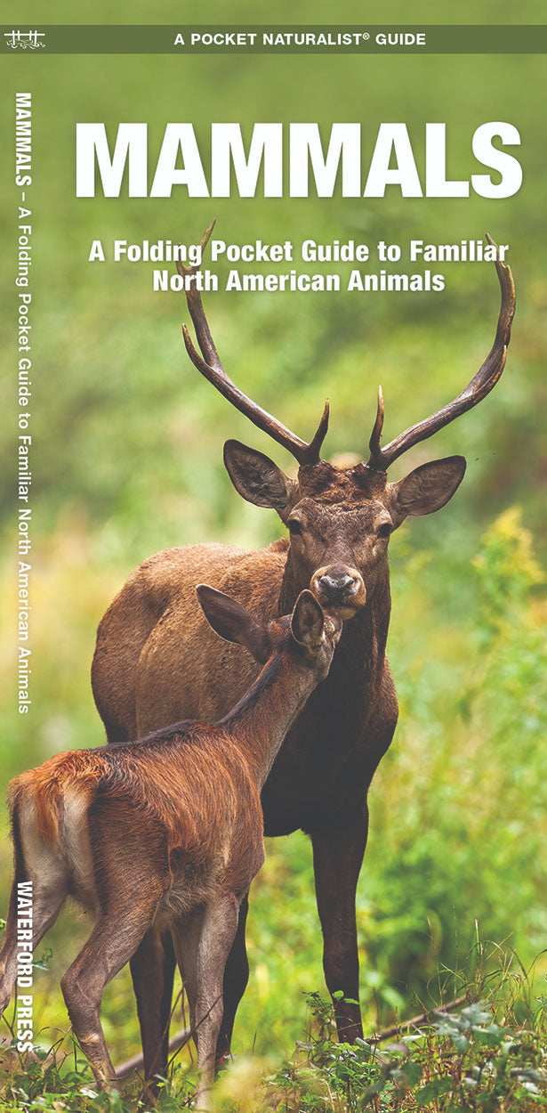 Mammals Pocket Guide - Birds Choice