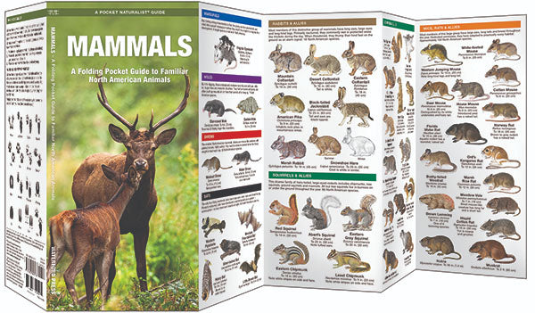 Mammals Pocket Guide