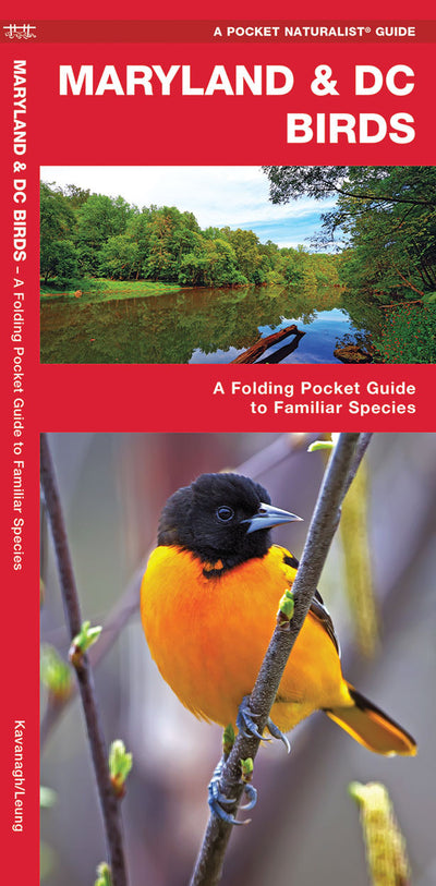 Maryland & DC Birds Pocket Guide
