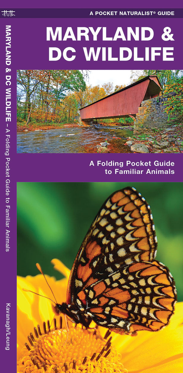 Maryland & DC Wildlife Pocket Guide