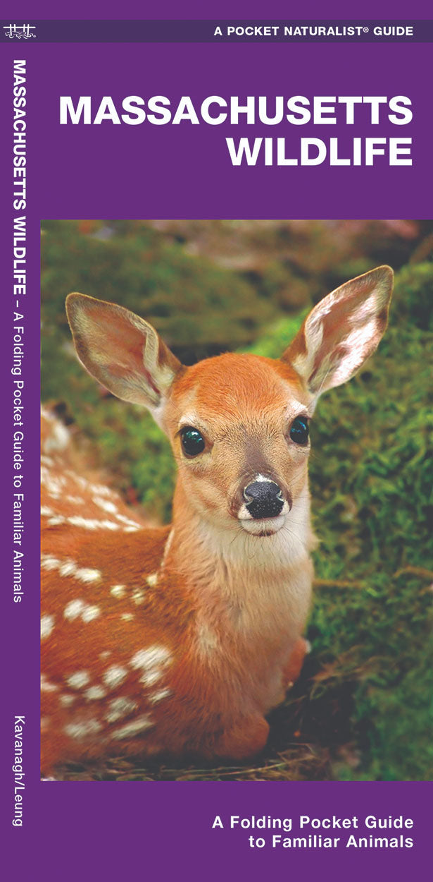 Massachusetts Wildlife Pocket Guide - Birds Choice