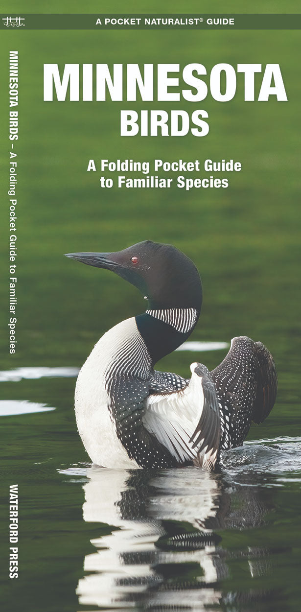 TRANSIT 15冊 + BIRD 1冊+ travel guide 1冊 Minnesota Birds Pocket Guide