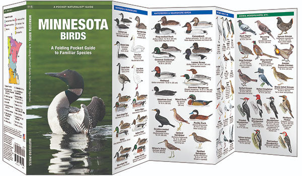 Minnesota Birds Pocket Guide - Birds Choice