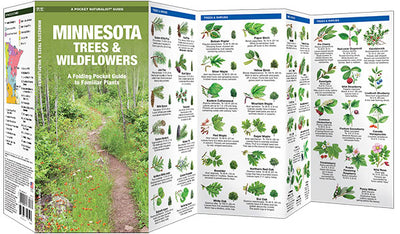 Minnesota Trees & Wildflowers Pocket Guide