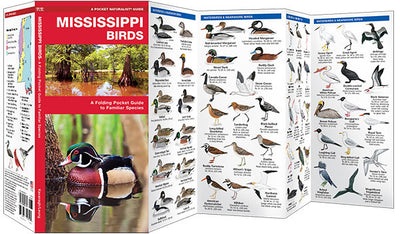 Mississippi Birds Pocket Guide