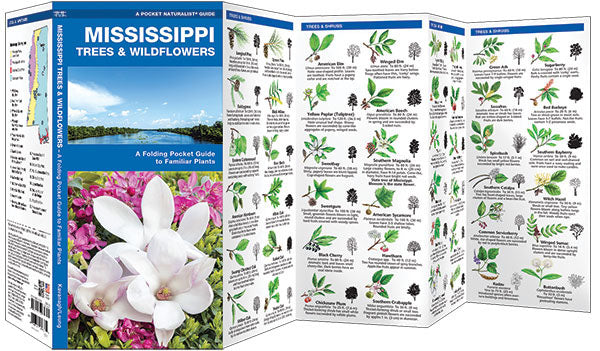Mississippi Trees & Wildflowers Pocket Guide