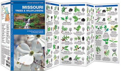 Missouri Trees & Wildflowers Pocket Guide