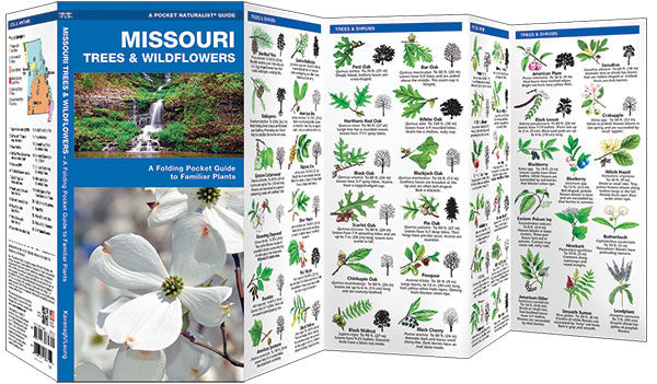Birds Choice Missouri Trees & Wildflowers Pocket Guide