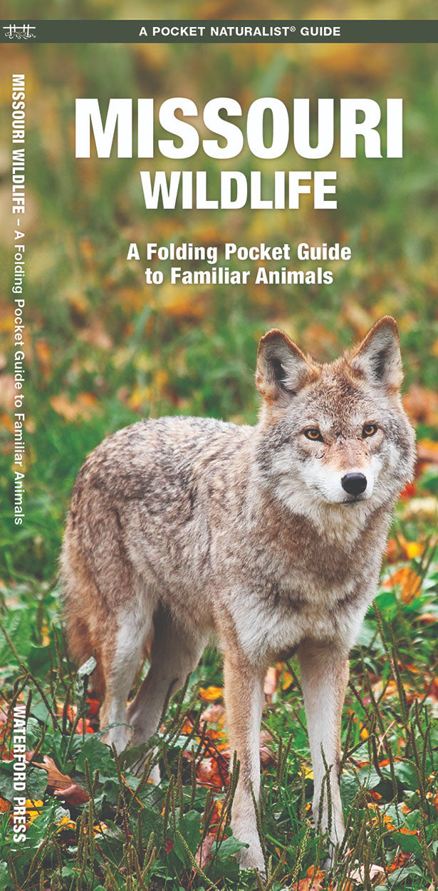 Missouri Wildlife Pocket Guide - Birds Choice