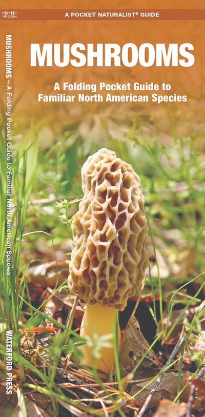 Mushrooms Pocket Guide