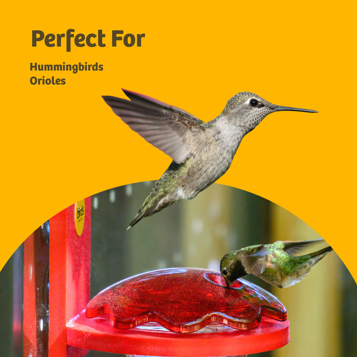 Hummingbird and Oriole Nectar with Nectar Defender 24 oz. Resealable Pouch - Birds Choice