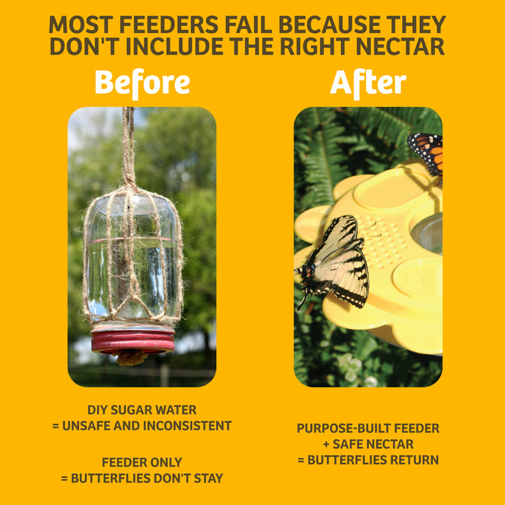 Flutterby Butterfly Feeder & Nectar Bundle
