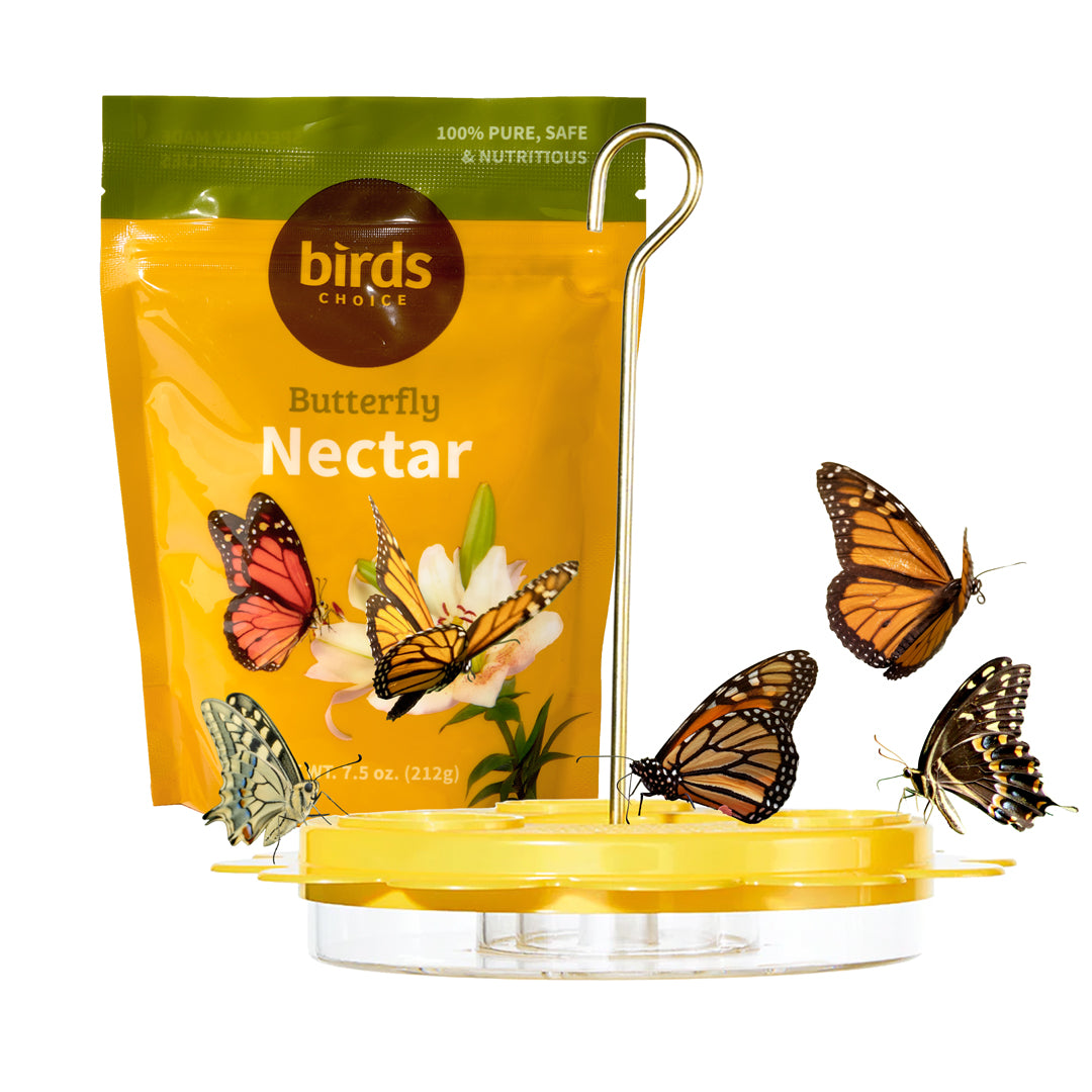 Flutterby Butterfly Feeder & Nectar Bundle - Birds Choice