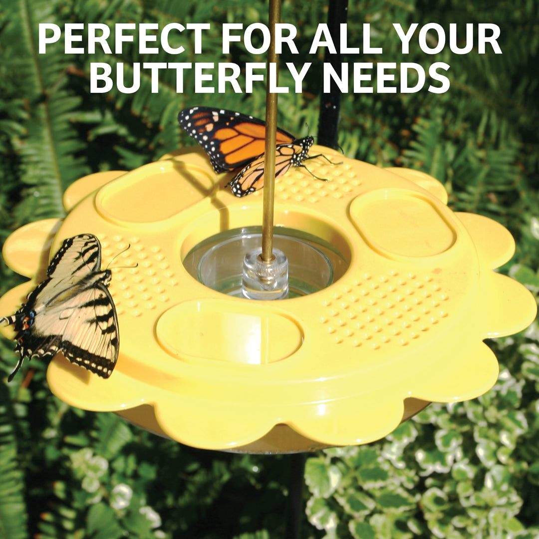Flutterby Butterfly Feeder & Nectar Bundle