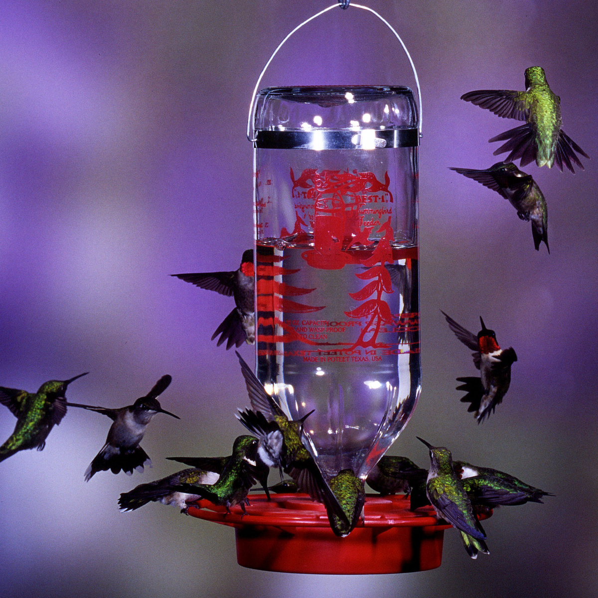 Hummingbird and Oriole Nectar 8 oz. Resealable Pouch - Birds Choice