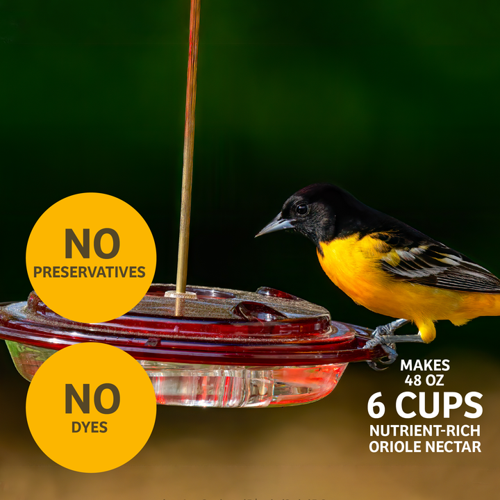 Hummingbird and Oriole Nectar 8 oz. Resealable Pouch Hummingbird and Oriole Nectar 8 oz. Resealable Pouch