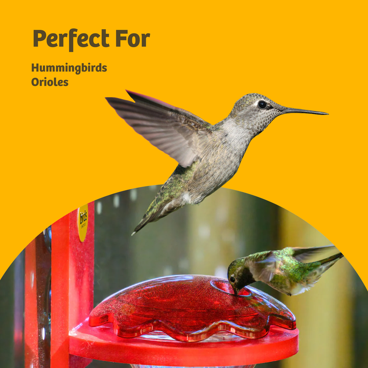 Hummingbird and Oriole Nectar 8 oz. Resealable Pouch - Birds Choice