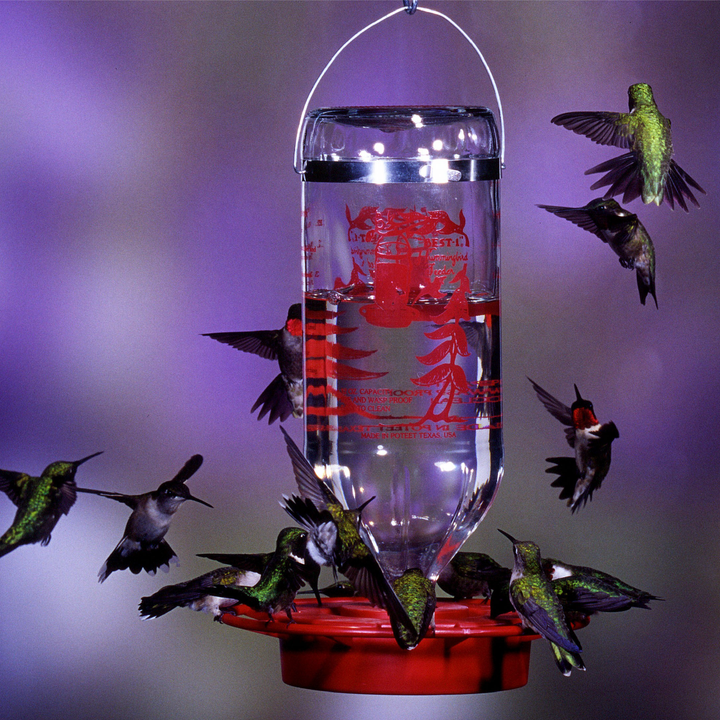 Hummingbird and Oriole Nectar 24 oz. Resealable Pouch - Birds Choice