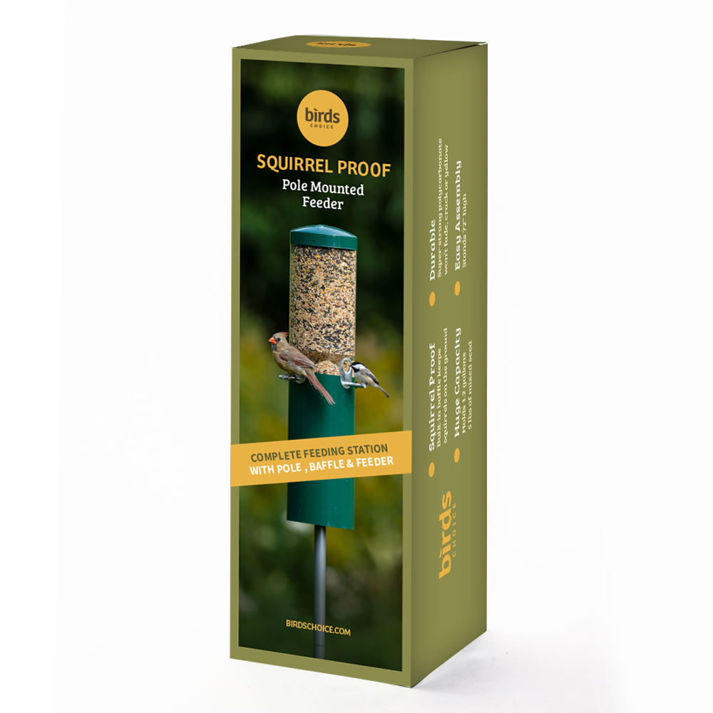 Squirrel Proof Classic Bird Feeder with Pole and Squirrel Baffle - Birds Choice